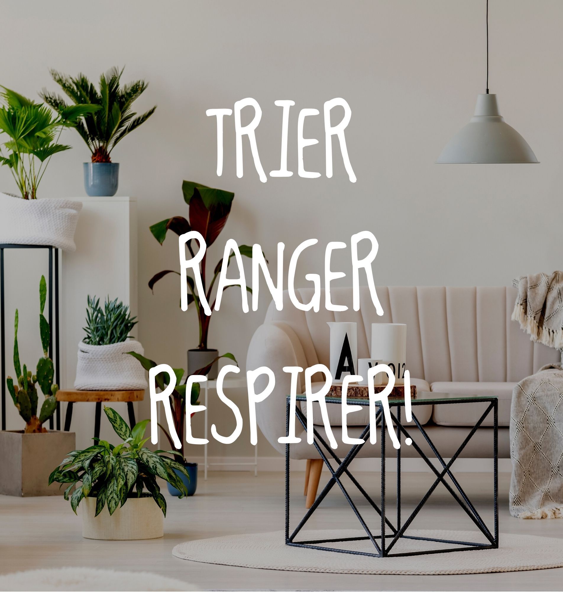 Odoo • Image et Texte