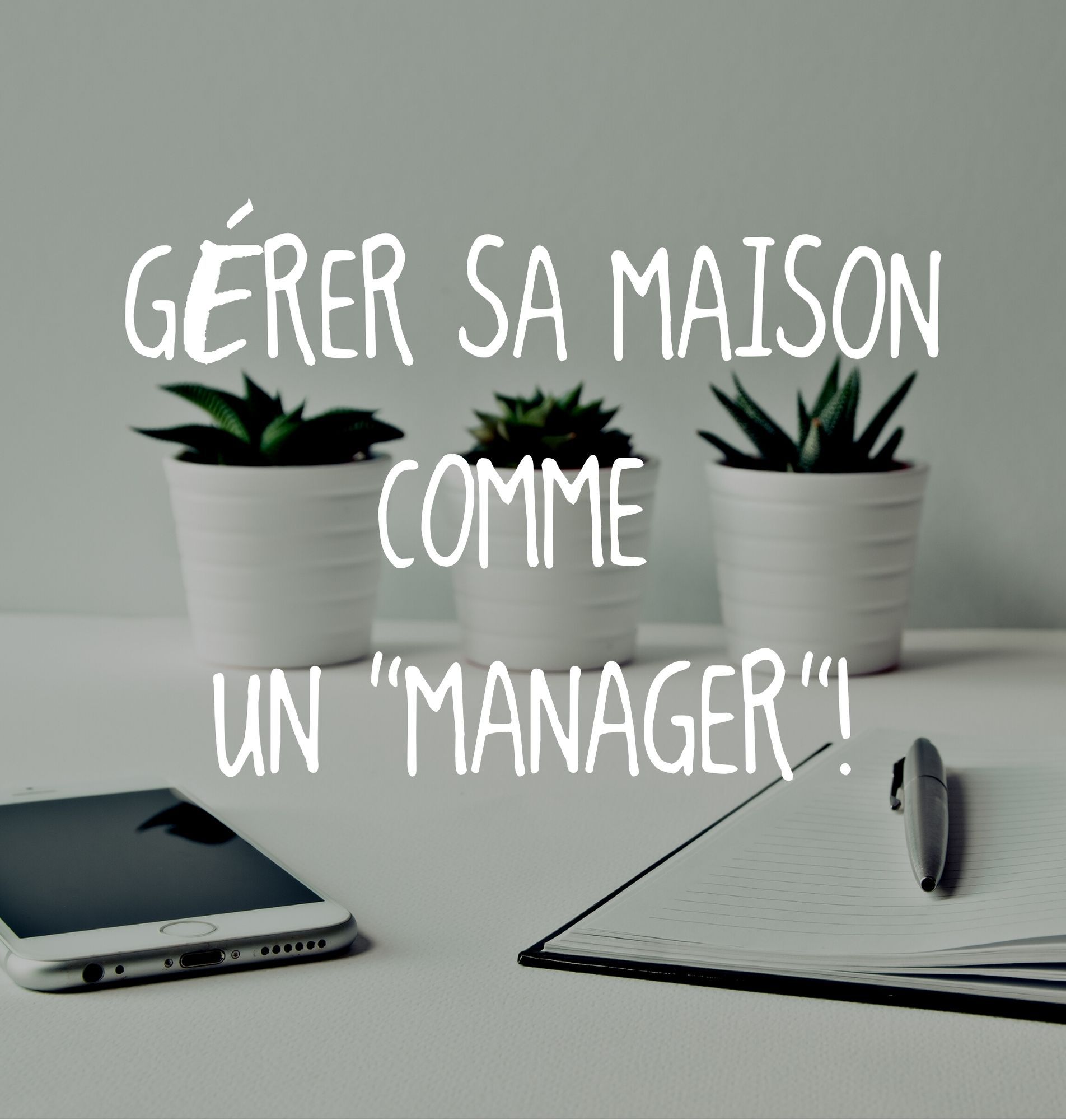 Odoo • Texte et Image